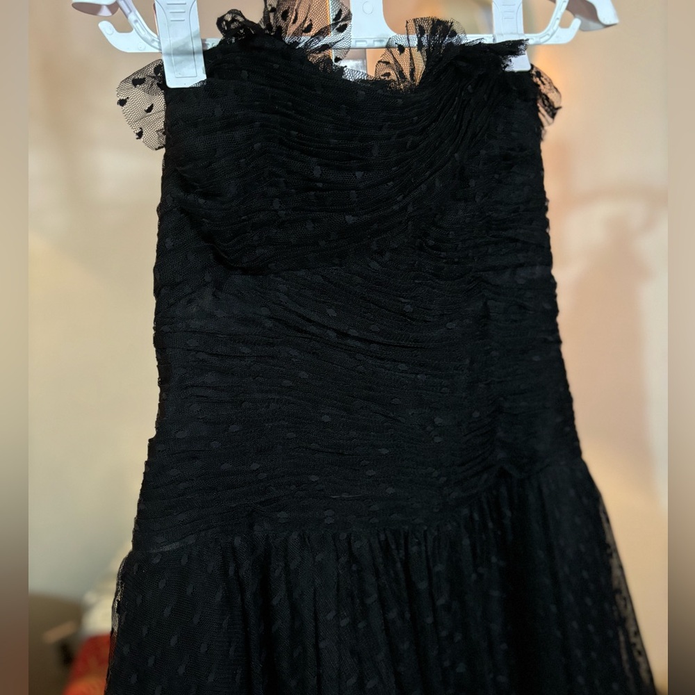 Gorgeous Chris Kole Couture Dress